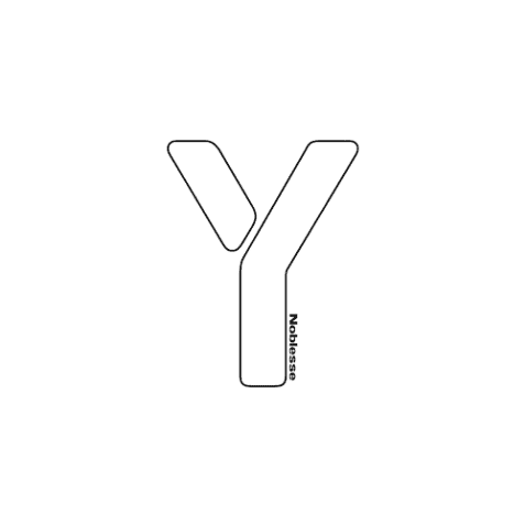 Y magazine